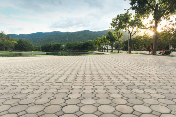 Best Best Driveway Pavers  in Inesville, GA