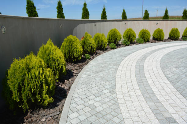 Best Professional Driveway Pavers  in Inesville, GA